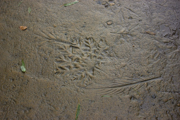 patterns of the image of concrete along the alley