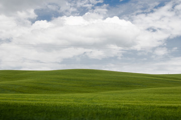 Italian landscape with green fields in spring, holidays in Italy in Umbria and Tuscany. Travel drive in the Tuscany countryside with soft green hills and blue skies. Calm and relax holidays in Italy