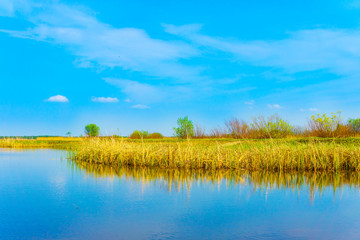 Naklejka premium Spring landscape in the countryside