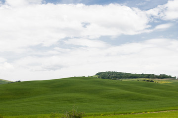 Fototapeta na wymiar Italian landscape with green fields in spring, holidays in Italy in Umbria and Tuscany. Travel drive in the Tuscany countryside with soft green hills and blue skies. Calm and relax holidays in Italy