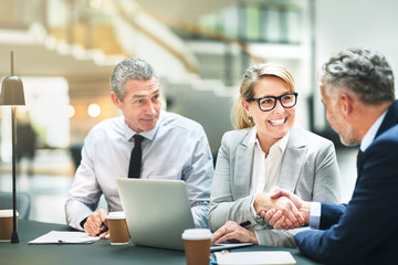 Smiling mature business colleagues shaking hands together in an