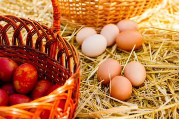 unpainted fresh chicken eggs lie on the straw next to the basket near the brown painted eggs