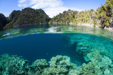 Beautiful Islands and Coral Reef in Raja Ampat