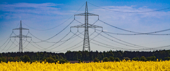 Hochspannungsleitung über Rapsfeld