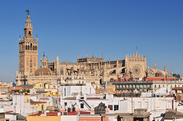 Cityscape of Seville with Santa Maria de la Sede Cathedral, Andalusia, Spain.