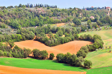 Heart tuscan landscape with view of Pienza, Val d'Orcia, Tuscany, Italy.