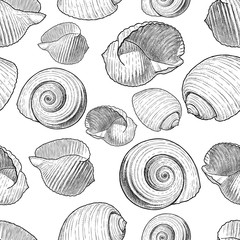 Pattern of the various drawn seashells