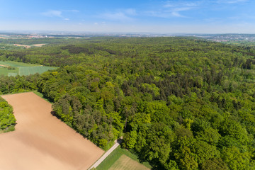 Luftbild Wald und Felder im Frühling