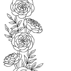 vector contour ranunculus rose flowers bud leaf coloring book pattern elements vertical seamless repeating - obrazy, fototapety, plakaty