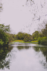 detail of city park with early spring vegetation