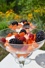 Fruit salad in glasses on outdoor background. Mix of blackberries, raspberries, apricot and peach pieces with honey dressing. Patio party, catering food.