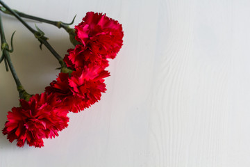 Carnations on white wooden background