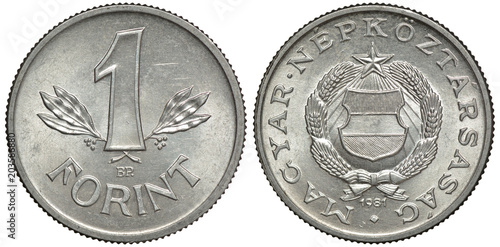 Hungary Hungarian Aluminum Coin 1 One Forint 1981 Value In Front Of Hungary Hungarian Aluminum Coin 1 One Forint 1981 Value In Front Of Crossed Sprigs