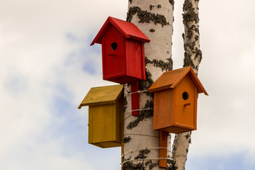 Birdhouses on the tree, against the sky