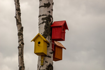 Birdhouses on the tree, against the sky