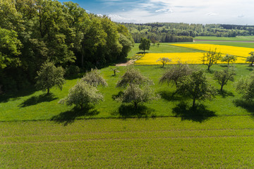 Luftbild blühende Rapsfelder im Frühling