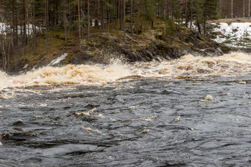 Fototapeta na wymiar Stormy mountain river in the background of the forest
