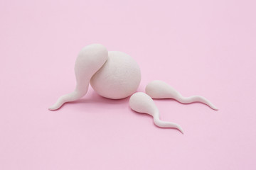Handmade Polymer Clay Figure of Human Sperm Impregnate a Fertile Human Egg