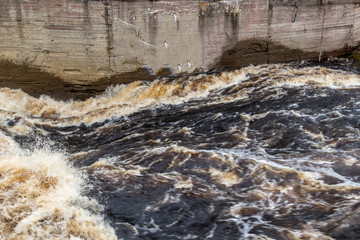 Stormy mountain river with large waves