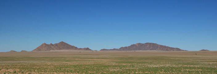 Green desert in the Naukluft National Park