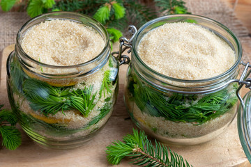Jars filled with young spruce tips and cane sugar, to prepare homemade syrup