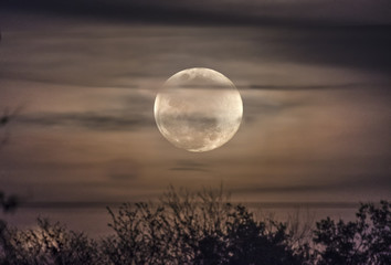 Fototapeta na wymiar Rising Moon