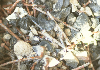 shallow focus. In the center there is a nail, ashes, and some stones. All that's left after the fire