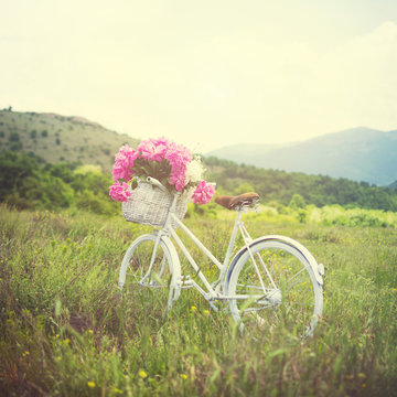 Retro white bicycle on grass in meadow in spring with basket full of pink peonies. Natural lighting, matte filter.