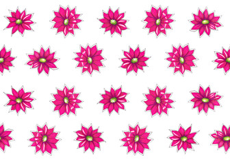 Botanical hand drawn pattern with bright pink flowers