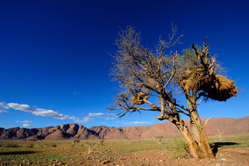 Fototapeta premium Mountains in the NamibRand