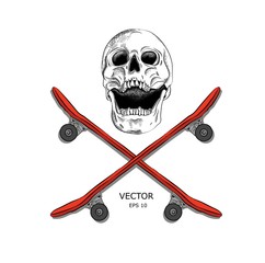Skull and Bones. An image of the skull and skateboards. Can be used for printing on T-shirts, flyers, etc. Vector illustration