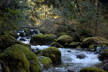 Mountain Stream
