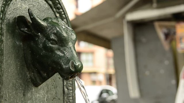Turin, Piedmont region, Italy. May 2018. The symbolic fountain of Turin, the torello or turet in Piedmontese. They are found in every corner of the city, almost always colored green, sometimes gray