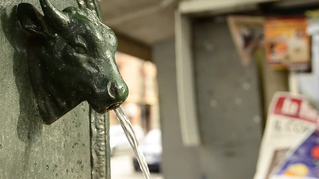 Turin, Piedmont region, Italy. May 2018. The symbolic fountain of Turin, the torello or turet in Piedmontese. They are found in every corner of the city, almost always colored green, sometimes gray