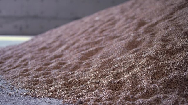 bunch of corn kernels