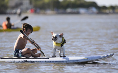 Boy enjoying with his pet in the stand up 