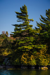 a windswept, rocky island edge among the Thousand Islands, St. Lawrence River