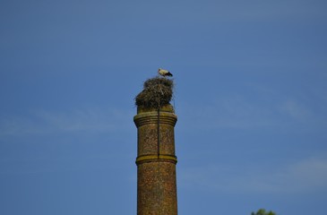 stork's nest in the chimney
