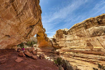 Hickman Bridge. One of the highlights of Capitol Reef - a large, natural arch in a scenic canyon surrounded by the great white domes of Navajo sandstone that characterize the national park.