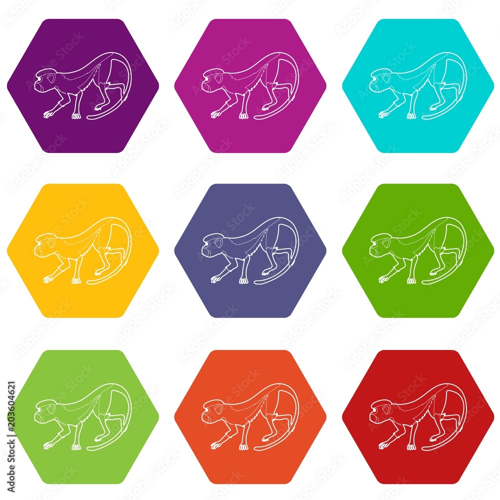Poster going forward monkey icons 9 set coloful isolated on white for web