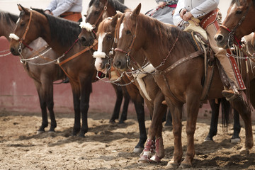 Mexican charros mounted on their horses during a tournament