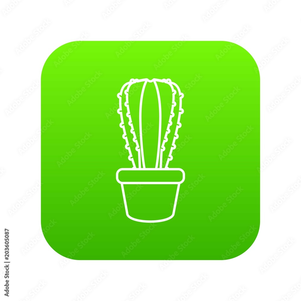 Poster rectangular cactus icon green vector isolated on white background