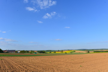 Ackerland in der Wetterau-Hessen