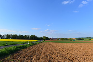 Ackerland in der Wetterau-Hessen
