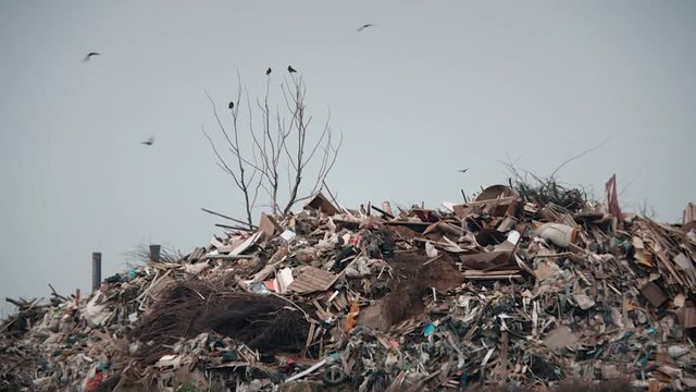 Processing of waste, garbage. Urban landfill. Sorting. Montain garbage. Ecology.