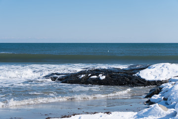 Winter Beach