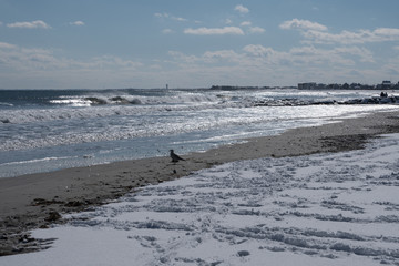 Winter Beach