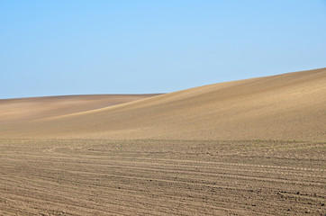 Fototapeta na wymiar Agricultural landscape of freshly tilled field on blue sky background