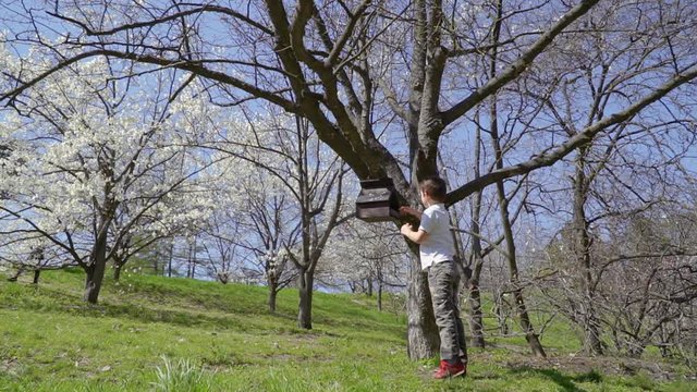 Little boy put feed into bird feeder in park