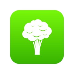 Broccoli icon digital green for any design isolated on white vector illustration